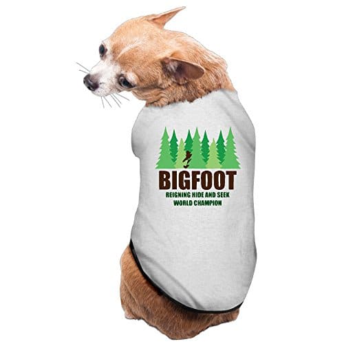 pet champion pet carrier